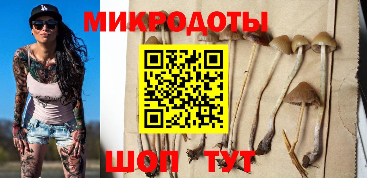 Белово  купить наркоту  Вход с VPN  Псилоцибиновые грибы Psilocybe 
